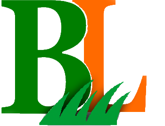 betta landscaping logo